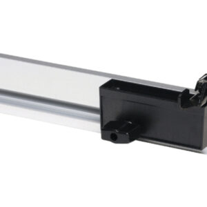 Ruler Assembly