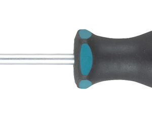 Screw Driver, T10