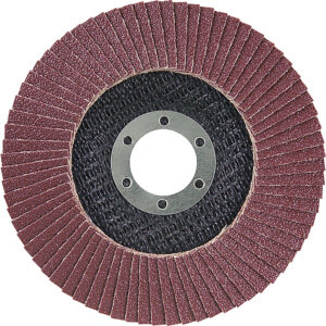 Flap Disc, 125 x 22.23 mm, A120
