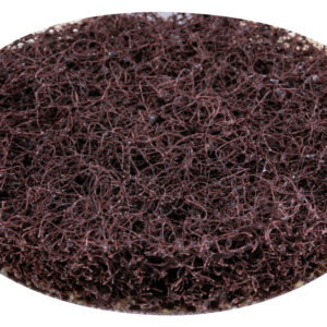 Surface Conditioning Disc, 50 mm