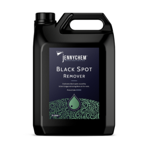 Black Spot Remover